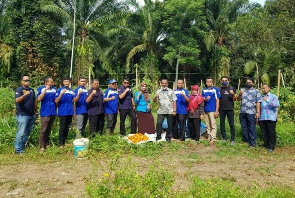 BNN Kota Binjai Melaksanakan Kegiatan Panen Tomat Bersama Dalam Giat Kelurahan Bersih Narkoba Yang Telah Di Canangkan Tahun 2018 Di Kelurahan Tanah Seribu.